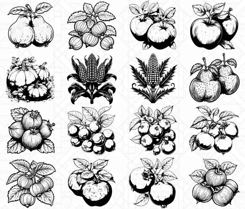 Autumn Fruits SVG Bundle - Image 4
