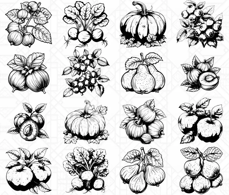 Autumn Fruits SVG Bundle - Image 6