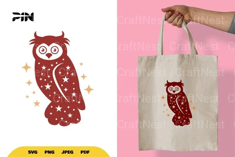 Cute Star Owl Clipart Bundle