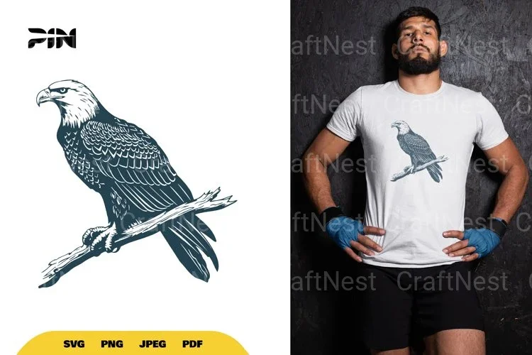 Eagle Bird SVG Bundle