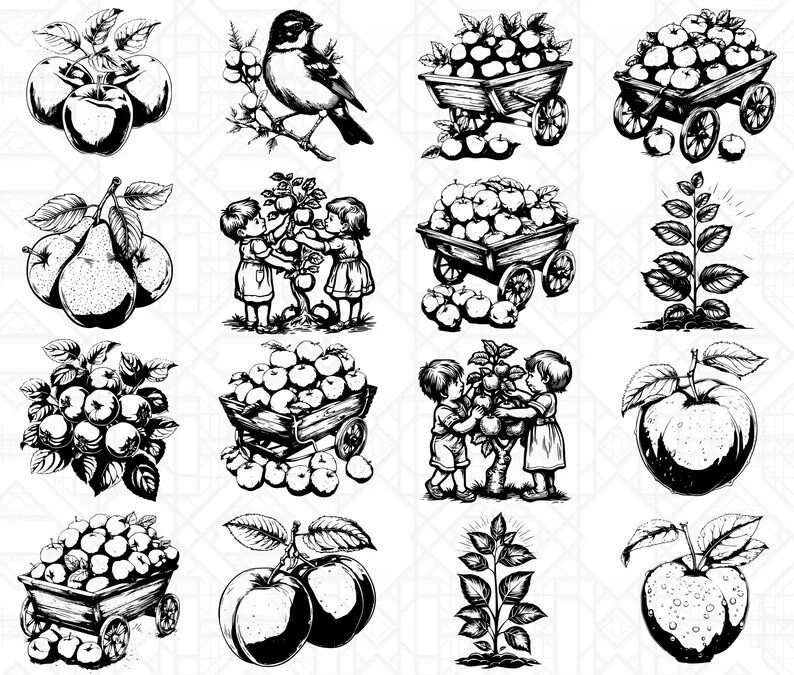 Orchard Fruits SVG Bundle - Image 3